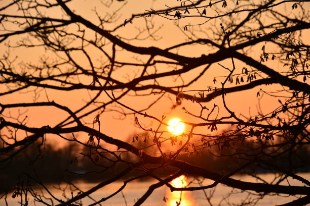 istock Sunset, Trees, Cloud, Sky, landscape, Switzerland 1092291226