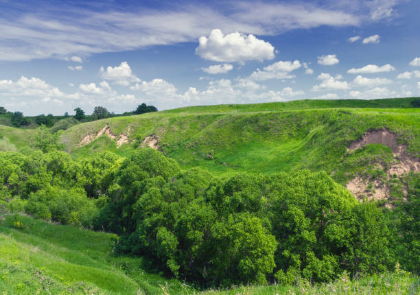 istock Summer landscape with small ravine. Russia 1092295984