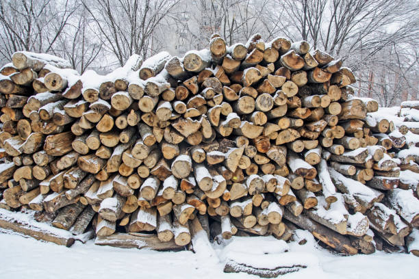 istock Firewood in a winter warehouse 1092296342