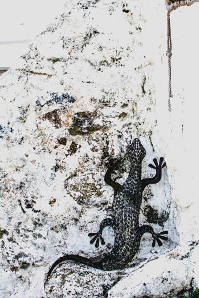 istock Decorative handicraft salamander on the rock 1092299748