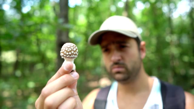 Observing poisonous mushroom