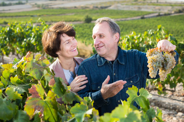 istock Glad wine maker shows to wife grown-up grapes 1092308890