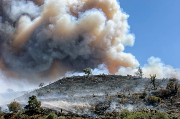 feuerwehrleute kämpfen wildfire - wildfire smoke stock-fotos und bilder