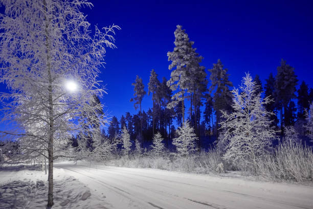 istock Snowy winter landscape in Finland. 1092312076
