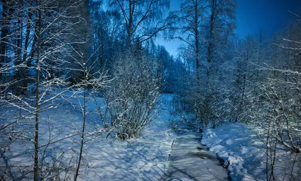 Frozen creek in peaceful winter night  scene under beautiful blue sky. Snow cowered trees in very cold weather in Finland.