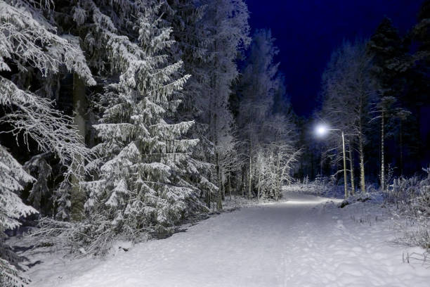 istock Snowy winter landscape in Finland. 1092313514