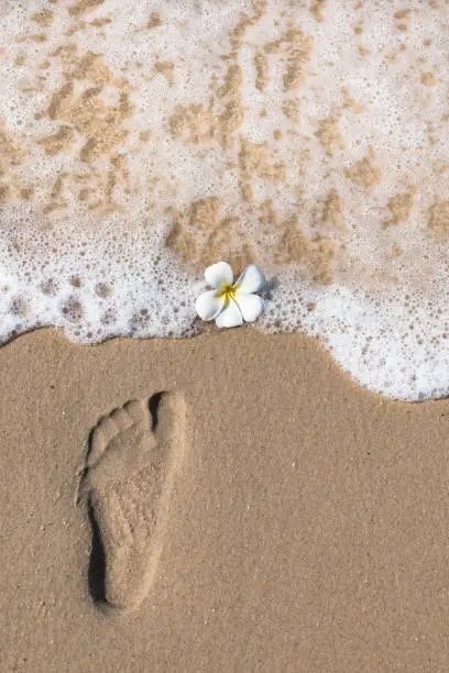 Tropical background - footprint on sand, exotic flower and sea.