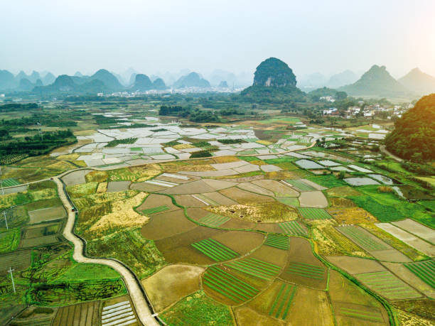 istock Rice fields scenery karst landscape of Guilin, China 1092314294