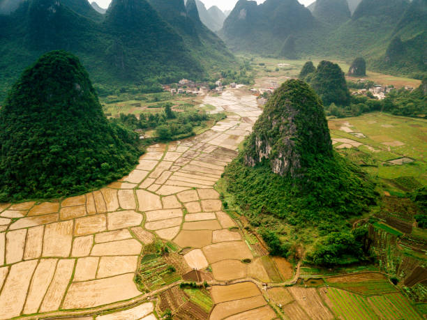 istock Rice fields scenery karst landscape of Guilin, China 1092314404