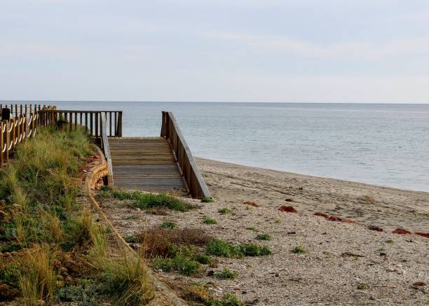 istock Wooden path on the beach 1092317398