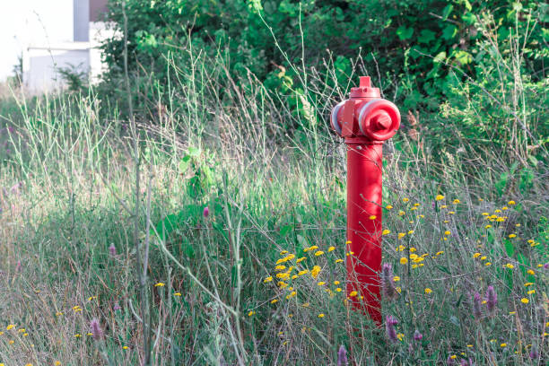 istock A red fire hydrant against a green lawn, bushes background. 1092318044