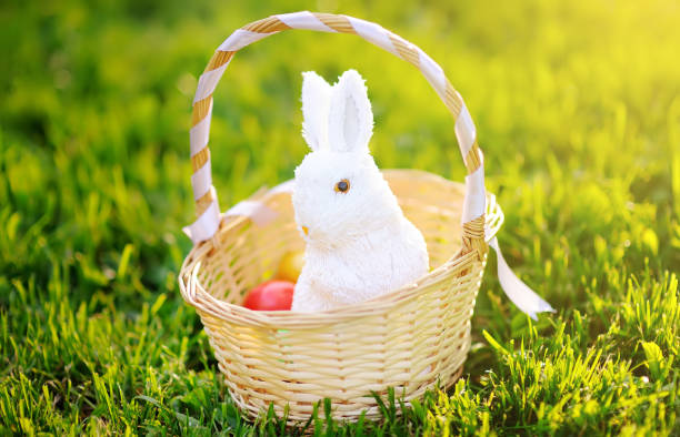 istock Colorful Easter eggs in a basket with cute white toy bunny 1092324972
