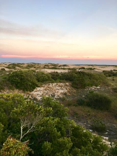 wellfleet massachusetts, great island cape cod - brewster foto e immagini stock