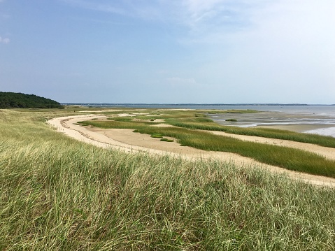 Wellfleet Massachusetts, Great Island Cape Cod, marsh reeds tidal