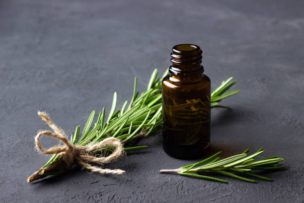 eine flasche ätherisches öl mit rosmarin - herbal medicine rosemary herb aromatherapy stock-fotos und bilder