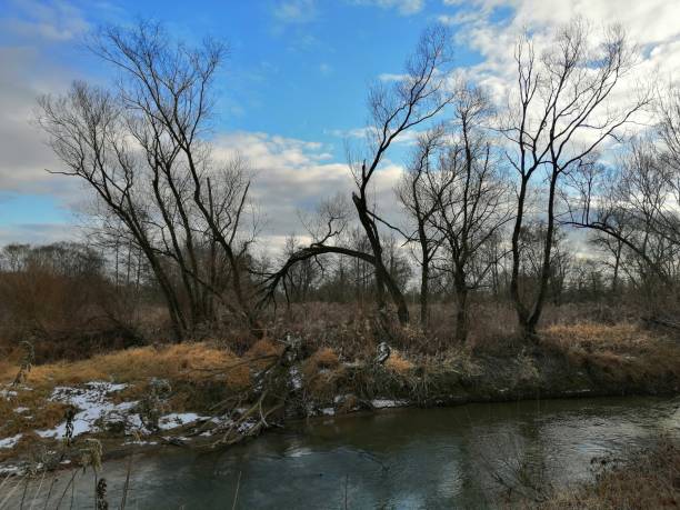 istock NATURE RESERVE HIKE/10\ 1092336386