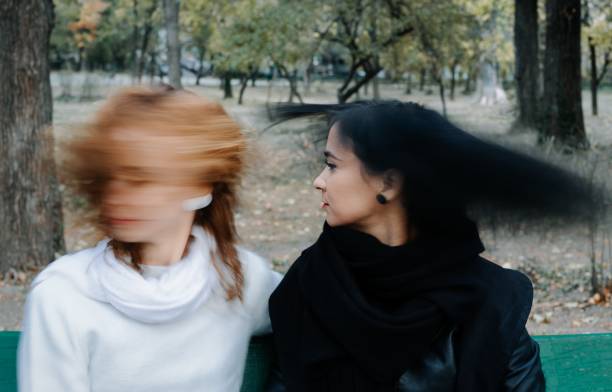 istock Lesbian Couple Shaking Heads While Sitting On Bench Against Trees In Park 1092378630