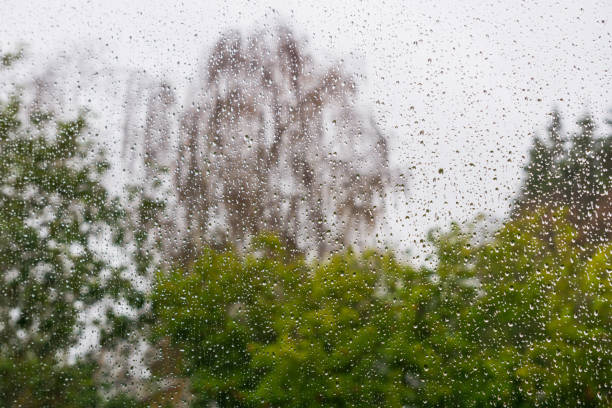 istock Drops of rain on the window, blurred trees on the background 1092382294