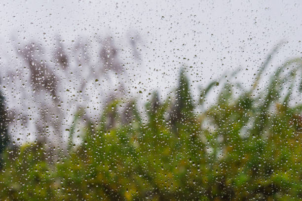 istock Drops of rain on the window, blurred trees on the background 1092382320