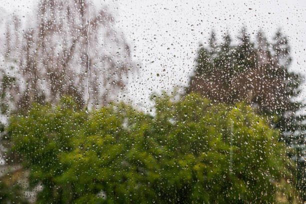 istock Drops of rain on the window, blurred trees on the background 1092382550