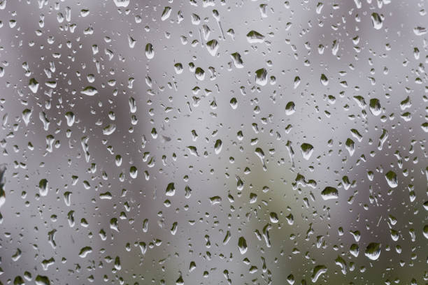 istock Rain drops on the window, blurred silhouettes of tree branches in the background 1092382558