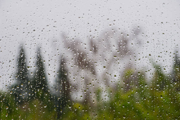 istock Drops of rain on the window, blurred trees on the background 1092382560