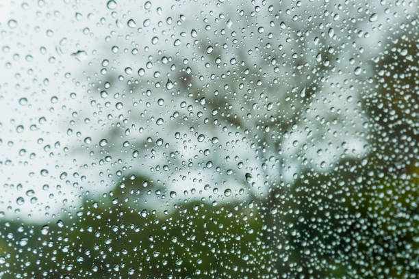 istock Drops of rain on the window; blurred trees in the background 1092382574