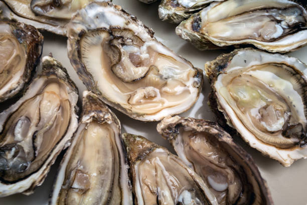 istock french lunch -  fresh oysters on a large plate