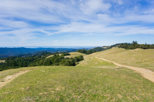 vue vers l’océan pacifique depuis les collines de san francisco midpeninsula d’un sentier de randonnée, californie - dry white blue northern california photos et images de collection