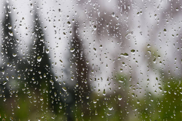 istock Drops of rain on the window; blurred trees in the background 1092392148