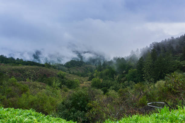 istock Fog rolling over hills and valleys, California 1092392190
