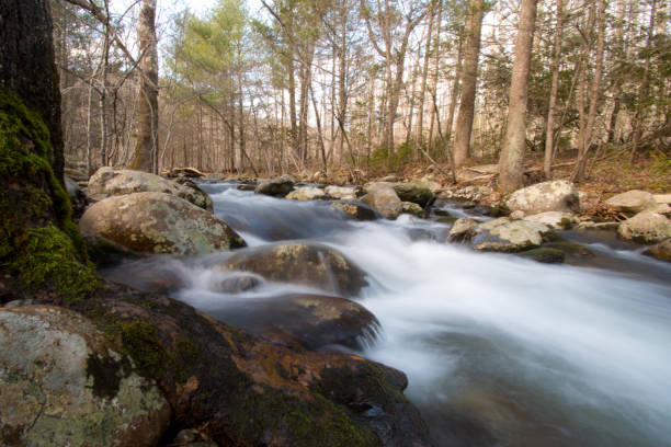 Blurred motion, stream, National Park Virginia Hike