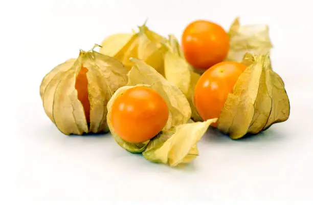 Cape Gooseberry (Physalis peruviana) on white background.