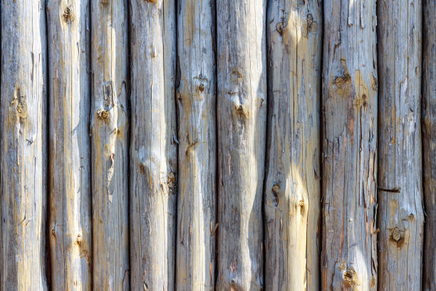 Background of fence from trunks of trees Fence of logs. Background of fence from trunks of trees fence3 stock pictures, royalty-free photos & images