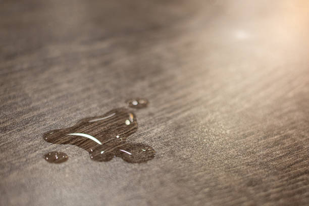 istock Beautiful Water Drops On Wooden Table With sunlight 1092431522