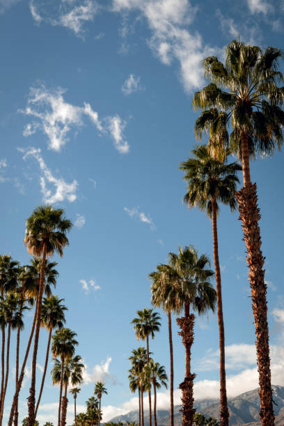 istock Palm Springs Scenic San Jacinto Mountain Landscape 1092441978