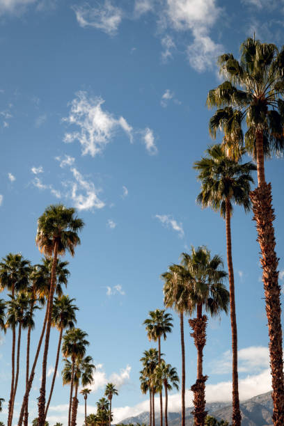 istock Palm Springs Scenic San Jacinto Mountain Landscape 1092441994