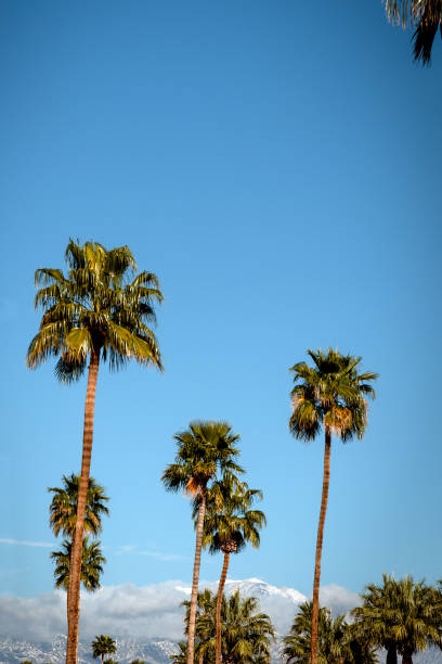istock Palm Springs Scenic San Jacinto Mountain Landscape 1092443634