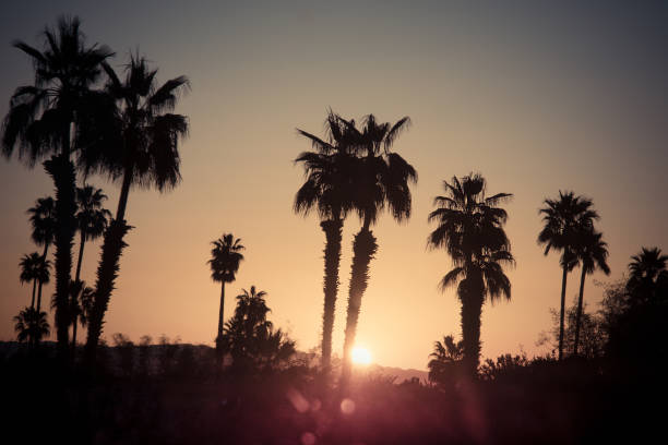 istock Palm Springs Scenic San Jacinto Mountain Landscape 1092444348