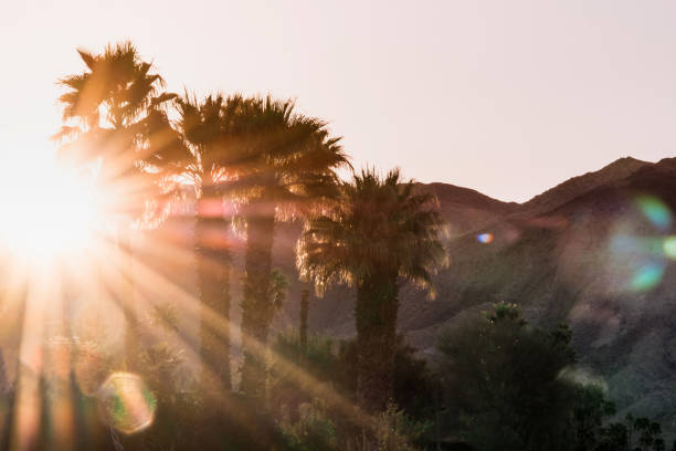 Palm Springs Scenic Mountain Landscape taken within Palm Springs city limit.