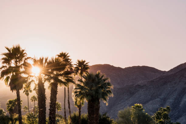 istock Palm Springs Scenic San Jacinto Mountain Landscape 1092444510