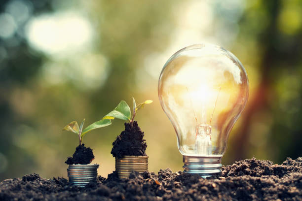 istock light bulb on soil with young plant growing on money stack. saving finance and energy concept 1092445016