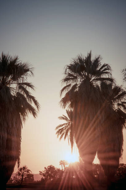 istock Palm Springs Scenic San Jacinto Mountain Landscape 1092446876