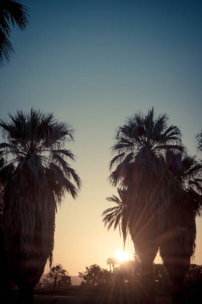 istock Palm Springs Scenic San Jacinto Mountain Landscape 1092447190