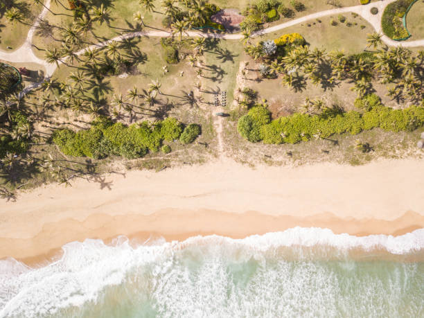 istock aerial shot of waves and beach 1092448802