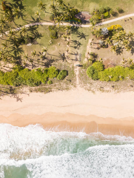 istock aerial shot of waves and beach 1092451092