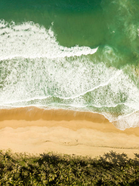 istock aerial shot of waves and beach 1092451668