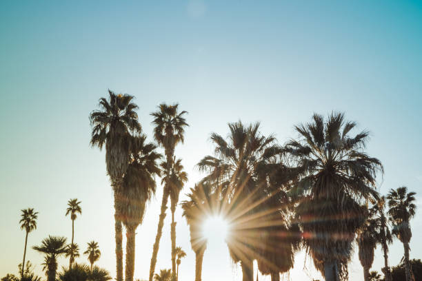 istock Palm Springs Scenic San Jacinto Mountain Landscape 1092452186