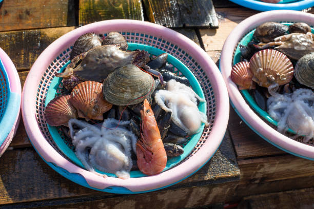 istock shellfish and other seafood in fish market.(Sale of Fresh clams, mussels, prawns, octopus) 1092484856