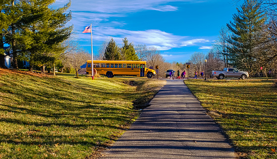 View of school bus on suburban street; children walking toward their houses; american flag on the left; blue sky in the background